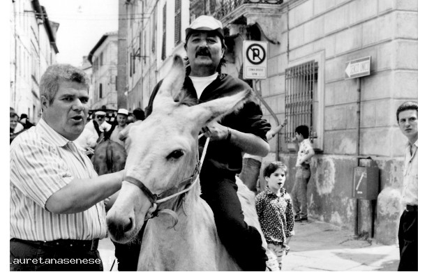 1992, Domenica 24 Maggio - Il fantino Ciacci