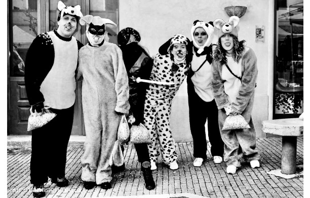 2015, Domenica 1 Febbraio - Cani che non abbaiano