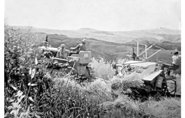 1958? - Raccolta meccanizzata della biada