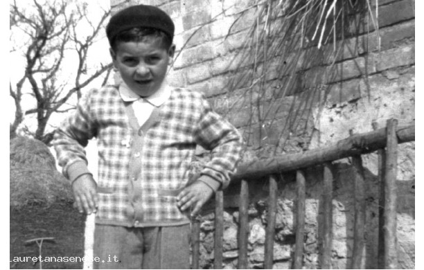 1954 - Che cittino vivace!