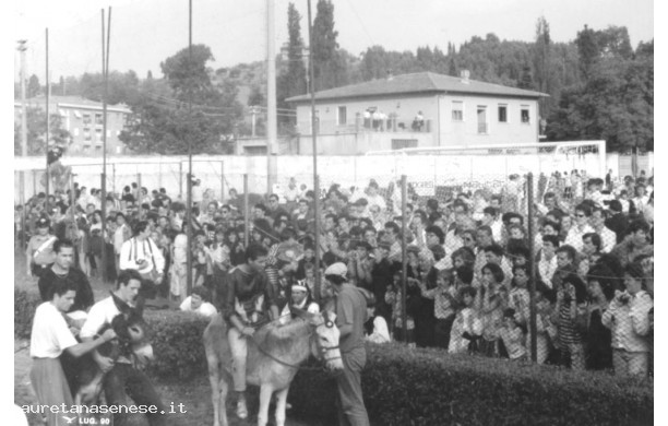 1989 - La mossa al Palio dei Ciuchi