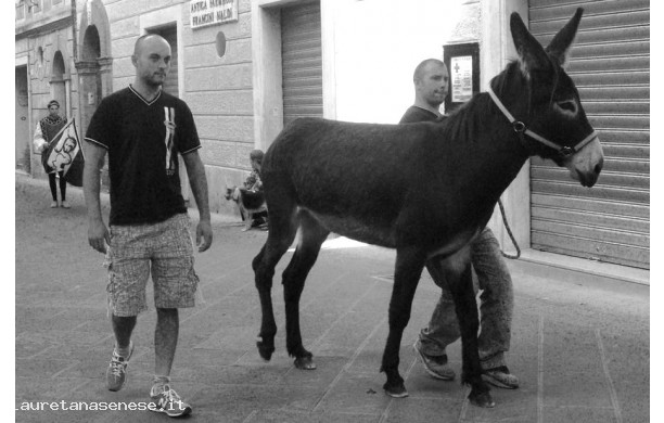 2010 - Corteo Storico