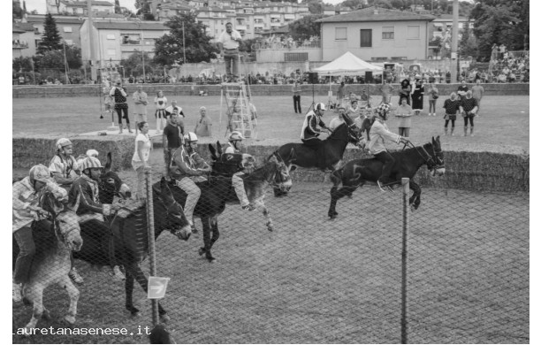 2014 - La mossa del Palio dei Ciuchi