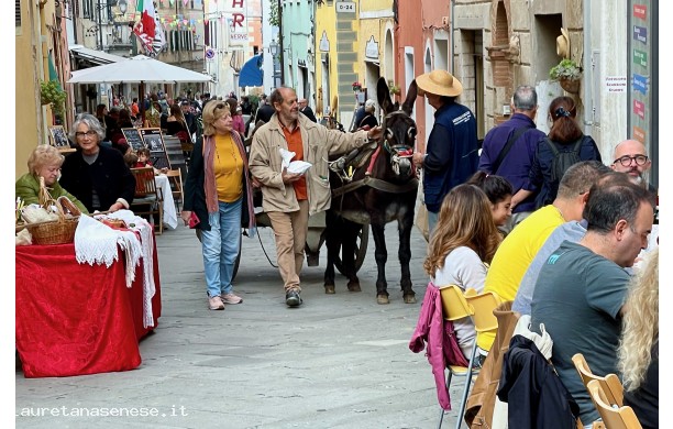 2024, Domenica 13 Ottobre - Sguardo sulla Festa Contadina