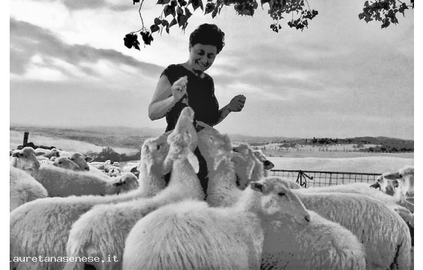 2017 - Perfetta simbiosi fra natura e esseri viventi