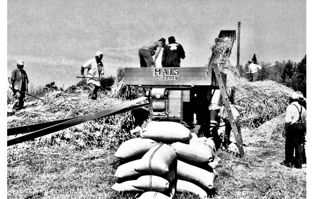 1999, Agosto - Tribbiatura nel campino di calcio della Pievina