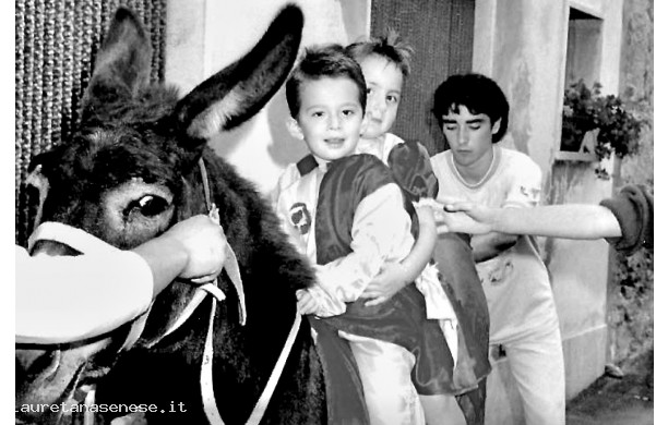 1990 - Cittini della Corona in groppa al ciuco, prima della corsa