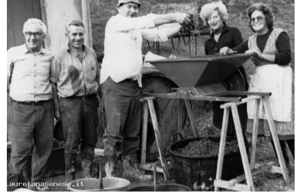 1980 - Vendemmia familiare usando la sgrappolatrice