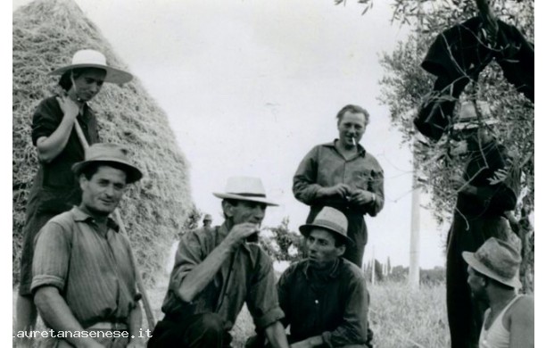 1951? - Pausa di riposo durante la trebbiatura del Grano