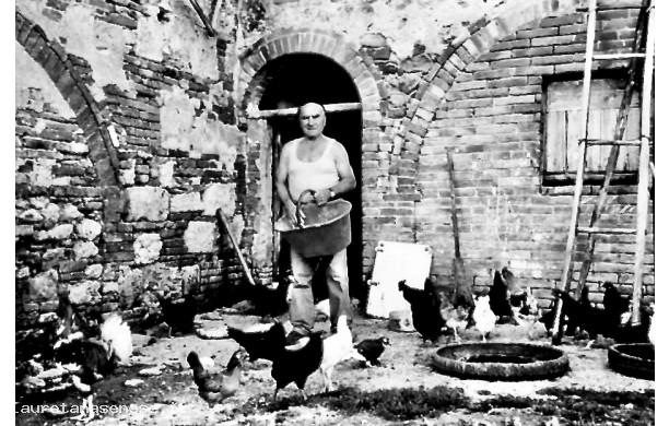 1976 - Il Sindaco contadino che governa le galline