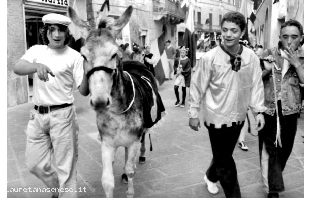 1993 - Barbaresco, Fantino, Assistente e Ciuco
