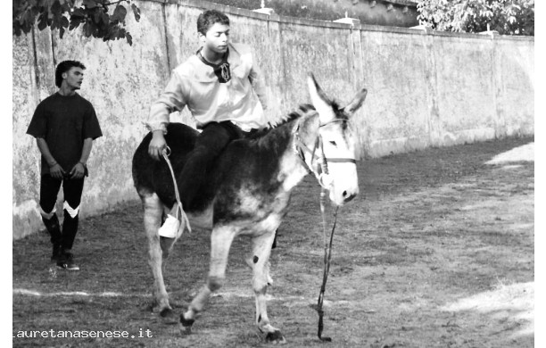 1994 - Floriano sul ciuco