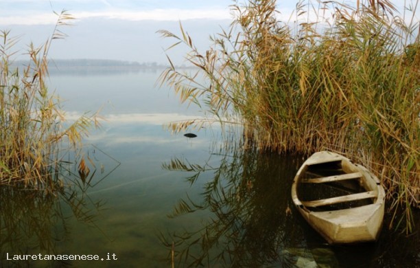 Lago di Montepulciano - Oasi protetta della LIPU