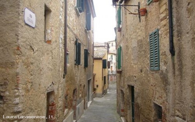 Immagine principale