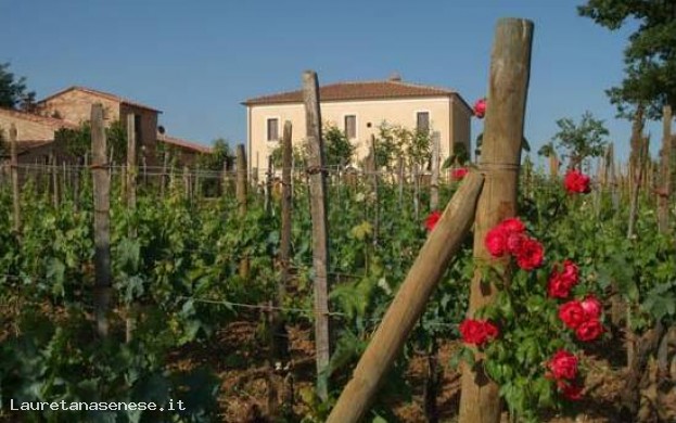 Agriturismo FORNACE DEL CONTE