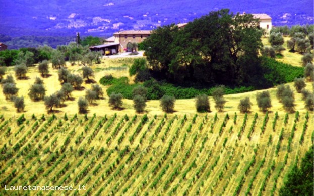 DIMORA MARCIANO MINIRESIDENCE